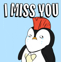 Sad I Miss You GIF by Pudgy Memez