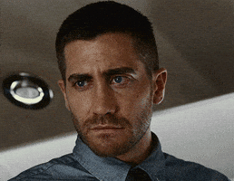 Jake Gyllenhaal No GIF Jake Gyllenhaal No GIF