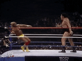Hulk Hogan Sport GIF by WWE Hulk Hogan Sport GIF by WWE
