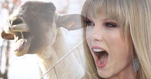 Taylor-Swift-Goat-Edition-of-I-knew-you-were-trouble-vi1.jpg