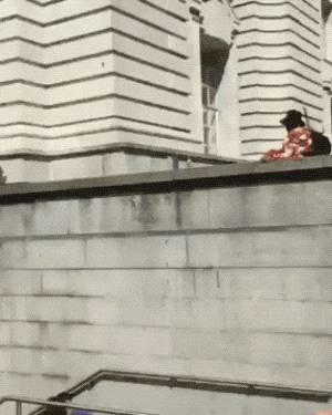 wtf-just-happened-17-gifs-15.gif