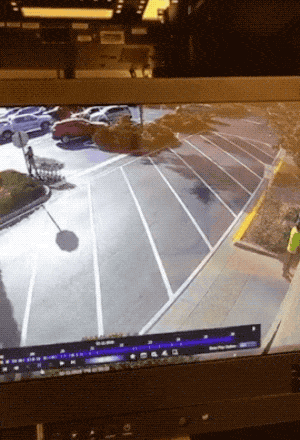youre-an-idiot-and-i-want-your-license-gone-15-gifs-8.gif