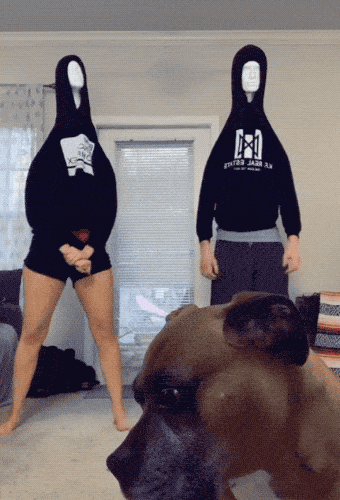 what-in-the-actual-fk-is-going-on-here-18-gifs-17.gif