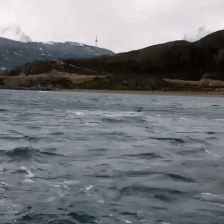 daily-afternoon-randomness-49-photos-2.gif