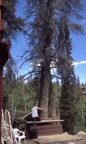 wtf-is-happening-here-18-gifs-10.gif