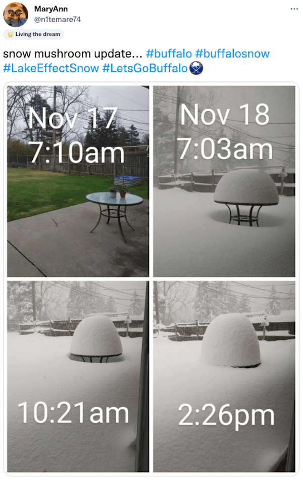 buffalo-snow-storm-pics-4.png
