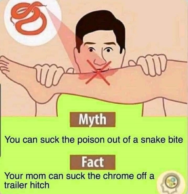 person-j-w-myth-can-suck-poison-out-snake-bite-fact-mom-can-suck-chrome-off-trailer-hitch.jpg