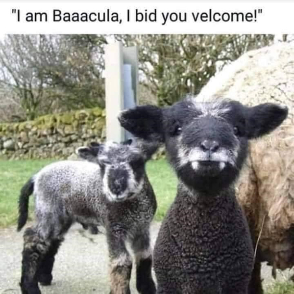 sheep-am-baaacula-bid-velcome.jpg