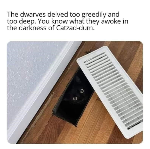 dwarves-delved-too-greedily-and-too-deep-know-they-awoke-darkness-catzad-dum.jpg