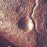 Bhimbetka-and-Daraki-Chattan-Cupules-oldest-art-of-all-time.jpg