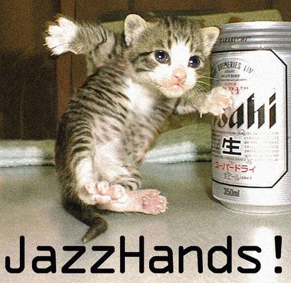 Jazz-Hands-Cat-Funny-Lol-Image.jpg