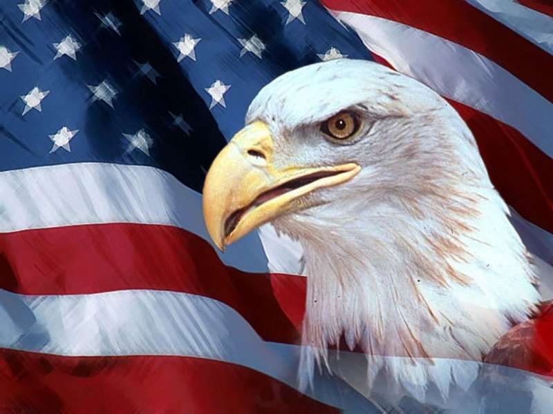 desktop-american-flag-eagle-pictures-800x600.jpg