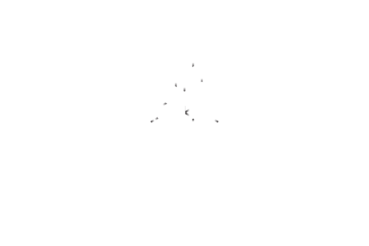 www.protocolgemini.com